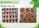 담양 멜론 농가 방문기 - 멜론 하우스 작물 재배 현황 조사 11페이지