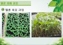 담양 멜론 농가 방문기 - 멜론 하우스 작물 재배 현황 조사 13페이지