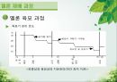담양 멜론 농가 방문기 - 멜론 하우스 작물 재배 현황 조사 14페이지