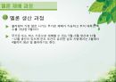 담양 멜론 농가 방문기 - 멜론 하우스 작물 재배 현황 조사 18페이지