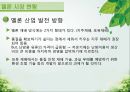 담양 멜론 농가 방문기 - 멜론 하우스 작물 재배 현황 조사 24페이지