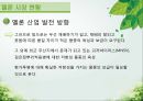 담양 멜론 농가 방문기 - 멜론 하우스 작물 재배 현황 조사 25페이지