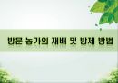 담양 멜론 농가 방문기 - 멜론 하우스 작물 재배 현황 조사 26페이지