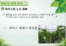 담양 멜론 농가 방문기 - 멜론 하우스 작물 재배 현황 조사 27페이지