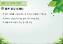 담양 멜론 농가 방문기 - 멜론 하우스 작물 재배 현황 조사 28페이지