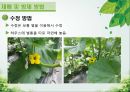 담양 멜론 농가 방문기 - 멜론 하우스 작물 재배 현황 조사 31페이지