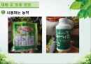 담양 멜론 농가 방문기 - 멜론 하우스 작물 재배 현황 조사 35페이지