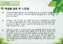 담양 멜론 농가 방문기 - 멜론 하우스 작물 재배 현황 조사 44페이지