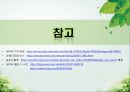 담양 멜론 농가 방문기 - 멜론 하우스 작물 재배 현황 조사 45페이지