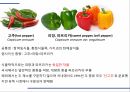해충학 식물병리학 식물병진단학) 파프리카 주요 병해 진단 및 처방 2페이지