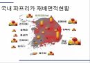 해충학 식물병리학 식물병진단학) 파프리카 주요 병해 진단 및 처방 4페이지