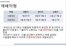 해충학 식물병리학 식물병진단학) 파프리카 주요 병해 진단 및 처방 6페이지