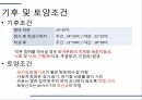 해충학 식물병리학 식물병진단학) 파프리카 주요 병해 진단 및 처방 8페이지