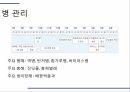 해충학 식물병리학 식물병진단학) 파프리카 주요 병해 진단 및 처방 11페이지