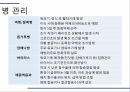 해충학 식물병리학 식물병진단학) 파프리카 주요 병해 진단 및 처방 12페이지