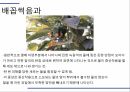 해충학 식물병리학 식물병진단학) 파프리카 주요 병해 진단 및 처방 13페이지
