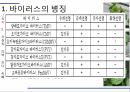 해충학 식물병리학 식물병진단학) 파프리카 주요 병해 진단 및 처방 17페이지