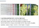 해충학 식물병리학 식물병진단학) 파프리카 주요 병해 진단 및 처방 26페이지