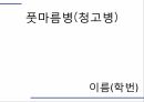 해충학 식물병리학 식물병진단학) 파프리카 주요 병해 진단 및 처방 27페이지