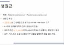해충학 식물병리학 식물병진단학) 파프리카 주요 병해 진단 및 처방 28페이지