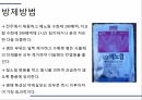 해충학 식물병리학 식물병진단학) 파프리카 주요 병해 진단 및 처방 55페이지