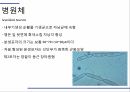 해충학 식물병리학 식물병진단학) 파프리카 주요 병해 진단 및 처방 75페이지