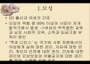 모성과 돌봄돌봄과 젠더의무적 출산무자녀 유형분류모성출산방법의 선택 9페이지