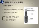 나노 셀룰로오스 섬유 발표자료 3페이지