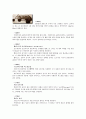 (한국산업의이해 D형)한국의 자동차 산업에 관해 논하시오. 2페이지