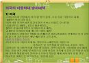 아동학대,아동폭력,아동학대란,신체적학대,계모아동학대,아동학대의 위험요인 14페이지