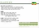 에티오피아시장, 농약사업,아프리카시장,에티오피아정책 5페이지
