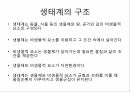 지구온난화와 기후변화에 대하여 6페이지