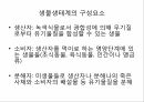 지구온난화와 기후변화에 대하여 7페이지