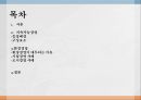 지속가능경영 환경경영 기업경영 사례 ppt 2페이지