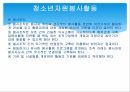 청소년자원봉사활동, 봉사조직 17페이지