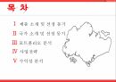 휴대용 태양광 충전기의 싱가포르진출 ppt
 2페이지