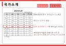 휴대용 태양광 충전기의 싱가포르진출 ppt
 6페이지