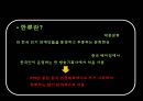 한류의 역사 4페이지