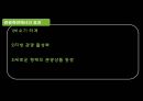 한류의 역사 24페이지