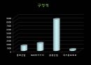 한류의 역사 30페이지