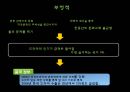 한류의 역사 31페이지