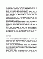 에어비앤비 서비스와 수익구조 분석 및 마케팅전략 분석과 미래전망 9페이지