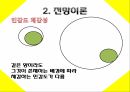 베르누이의 오류,전망 이론,소유 효과,4중 패턴,프레임과 현실,상대적 기준,위험회피,알레의 역설,결정가중치 12페이지