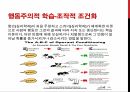소비자 의사결정,관여도의 개념,행동주의적 학습,고전적 조건화,인지적 학습,공개적 모델링,언어적 모델링,라이프 스타일,럭셔리마케팅,현지문화 11페이지