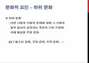 소비자 의사결정,관여도의 개념,행동주의적 학습,고전적 조건화,인지적 학습,공개적 모델링,언어적 모델링,라이프 스타일,럭셔리마케팅,현지문화 33페이지
