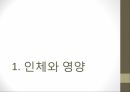 인체와 건강,인체와 영양,인체와 운동,인체와 스트레스,인체와 수면,인체와 알코올,인체와 흡연 3페이지