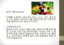 인체와 건강,인체와 영양,인체와 운동,인체와 스트레스,인체와 수면,인체와 알코올,인체와 흡연 11페이지