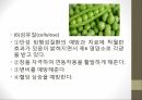 인체와 건강,인체와 영양,인체와 운동,인체와 스트레스,인체와 수면,인체와 알코올,인체와 흡연 14페이지