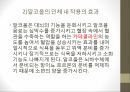 인체와 건강,인체와 영양,인체와 운동,인체와 스트레스,인체와 수면,인체와 알코올,인체와 흡연 46페이지