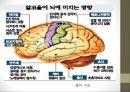 인체와 건강,인체와 영양,인체와 운동,인체와 스트레스,인체와 수면,인체와 알코올,인체와 흡연 47페이지